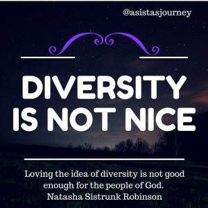 diversity-is-not-nice